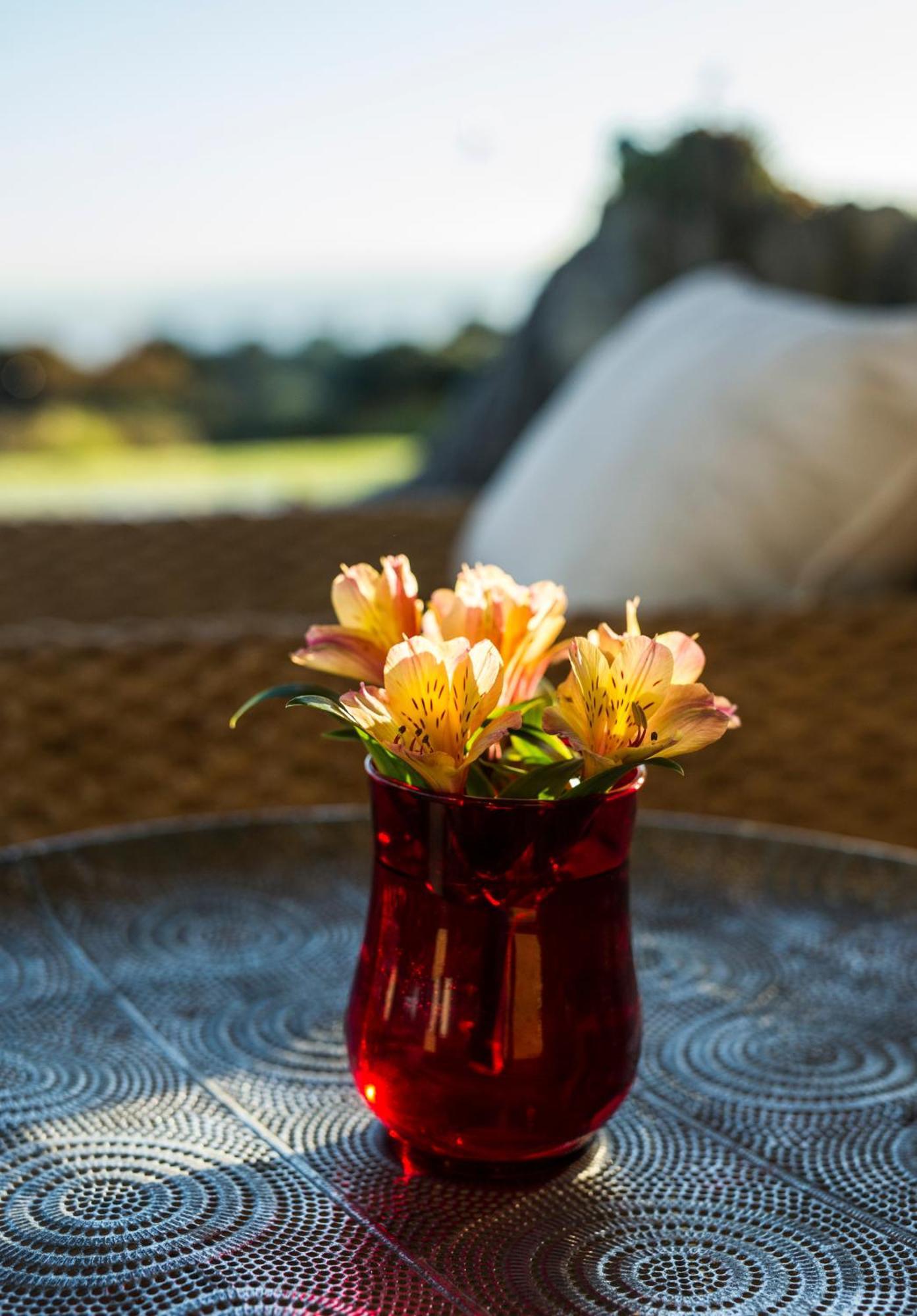 Matapouri & Tutukaka Spectacular Coastal Views- Aroha Luxury Guest Suite Экстерьер фото